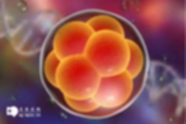 三级胚胎是精子不好还是卵子不好？怎么分辨看这里