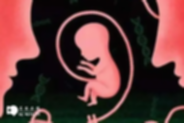 失独家庭做试管婴儿有没有补贴？这里教你如何申请