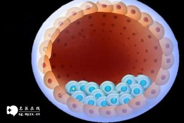 囊胚移植第五天阴道流水、胸疼，不用担心很正常