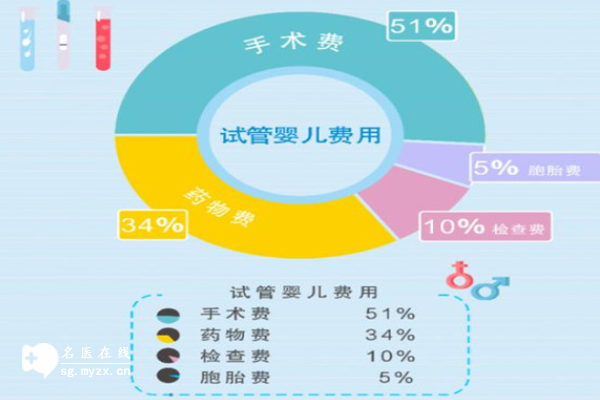 洛阳双胎试管婴儿费用涵盖哪些？各项花销尽收眼底