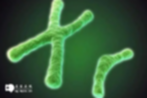 带你1分钟了解14号染色体异常的原因以及相关疾病
