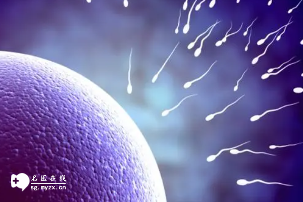 湖州私人机构做试管费用多少钱？内附助孕费用详情