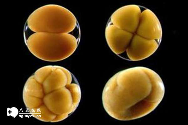 5ca囊胚质量没想象那么差，冷冻移植也有希望