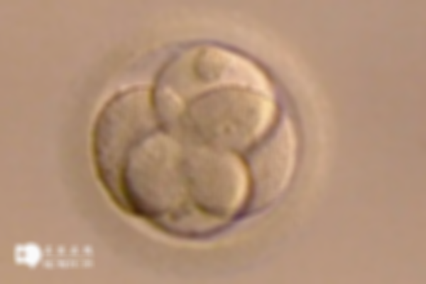 amh值0.29还能生育别担心，教你几招轻松促排