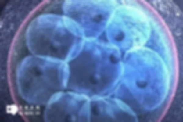 5天囊胚移植着床时间分享，影响因素这里有
