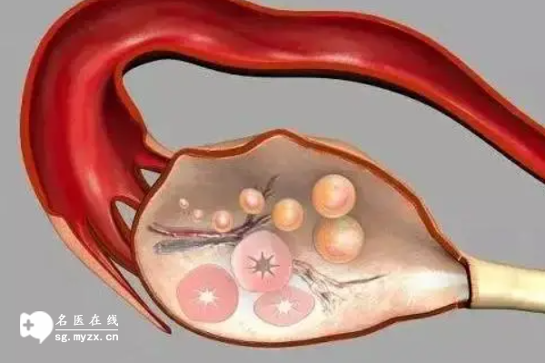 10个基础卵泡降调后仅4个别急，试管怀孕仍有希望