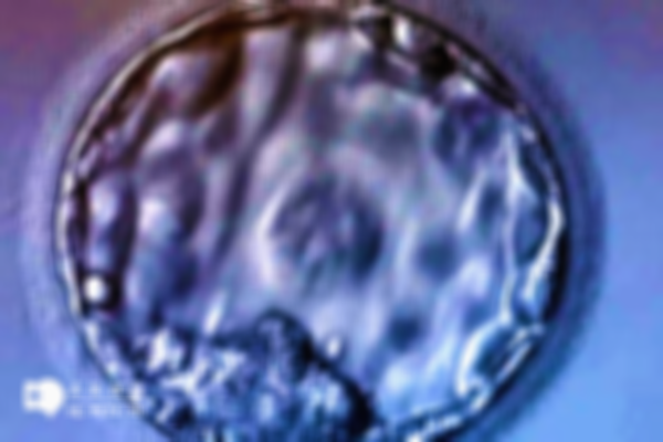 试管移植4bb囊胚能否成功？结果因人而异