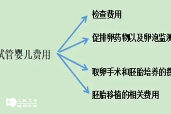 南京医科大学第二附属医院试管婴儿一共多少钱？看完你就知道！