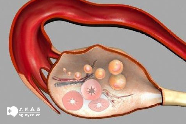 高龄女性想要再“逆袭”？做试管要具备这些条件