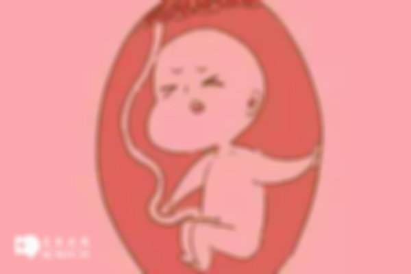泰国试管婴儿生育全攻略：从咨询到移植一站式指南