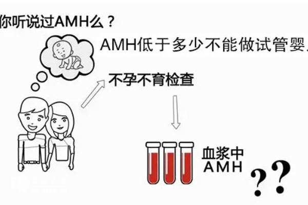 amh0.20能不能做试管婴儿？成功率未必有你想的那么高