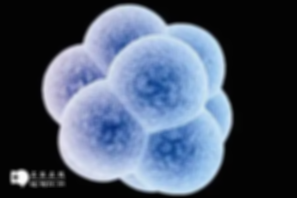 试管卵泡监测：月经后3-7天最合适