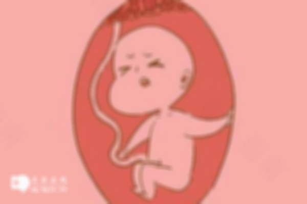 试管胚胎生长缓慢，重视这3大调理法
