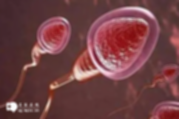 检测精子质量如何取出精子？有三种方法可以试试