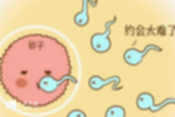 男性重度弱精只能做试管怀孕吗？还有其他助孕措施