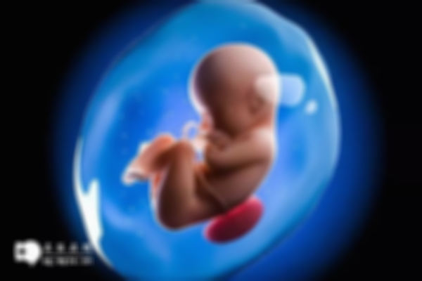 甲亢与宫腔粘连患者：做试管婴儿需考量