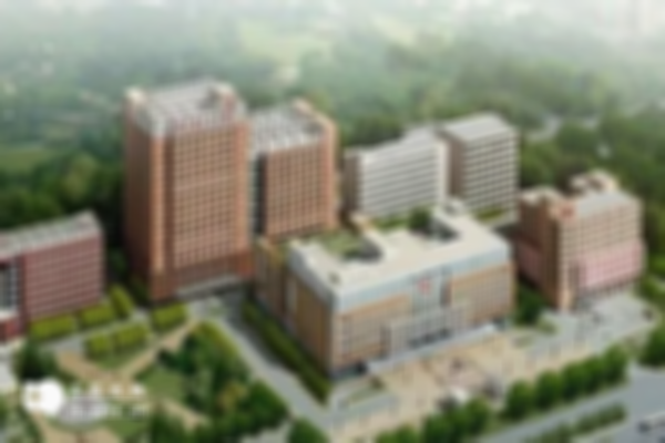 西藏三代試管醫院揭秘：成功率高達80%以上