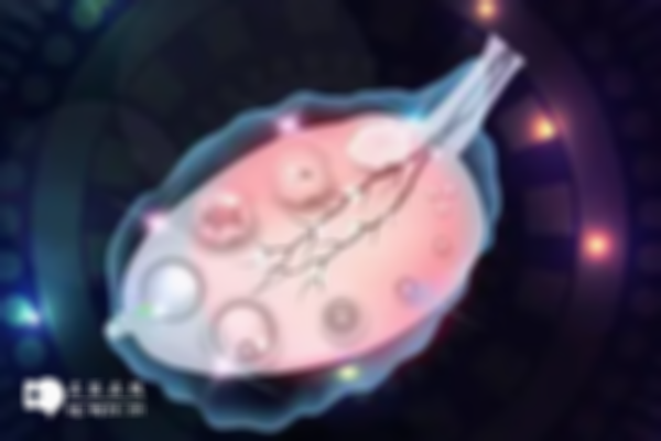 试管前攻略：卵巢储备amh值不能超这个数