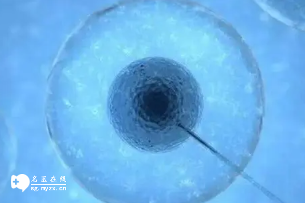 武汉三代试管花费多少钱，具体项目了解一下