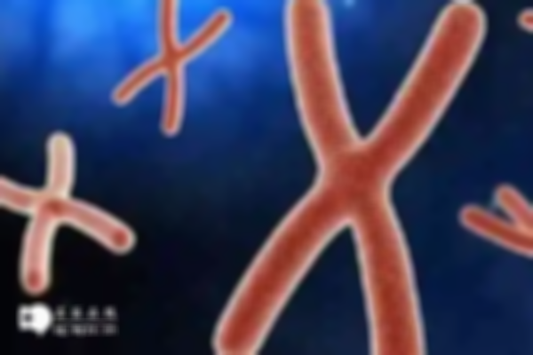 13号染色体倒位做三代试管：三大危害需知
