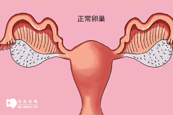 试管移植前减肥原因有4点，不止提高受孕率这么简单