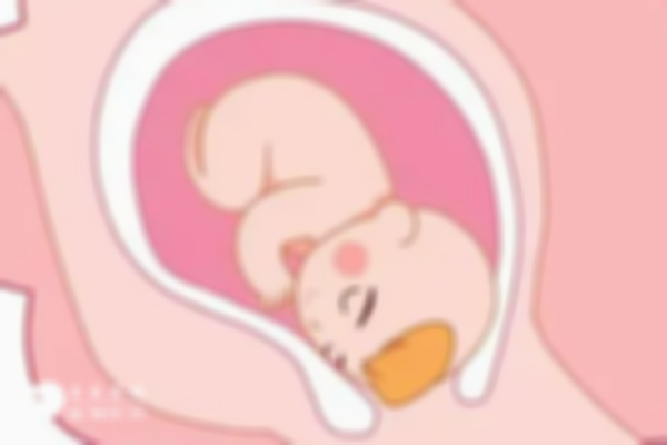 绝经与闭经女性：试管婴儿方案差异解析