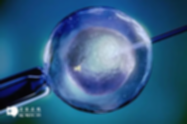 泰國三代試管醫(yī)院選擇,附預(yù)約流程及成功率指南