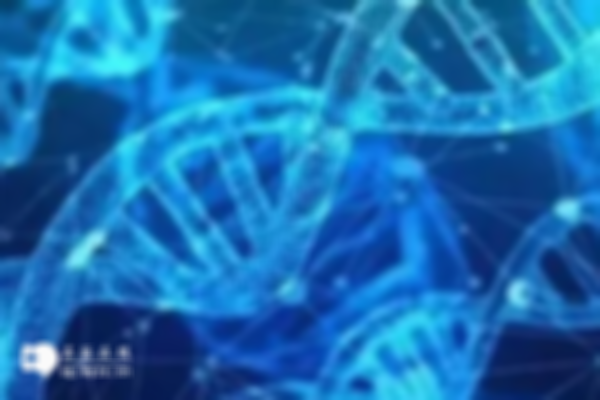 2024武汉三代试管婴儿价格全面揭晓，详细费用一览