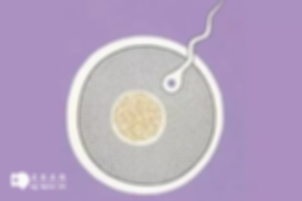 试管婴儿治疗步骤分享，检查促排+胚胎培养一步步来