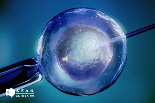 泰国做试管助孕费用明细整理，看完心里有个数