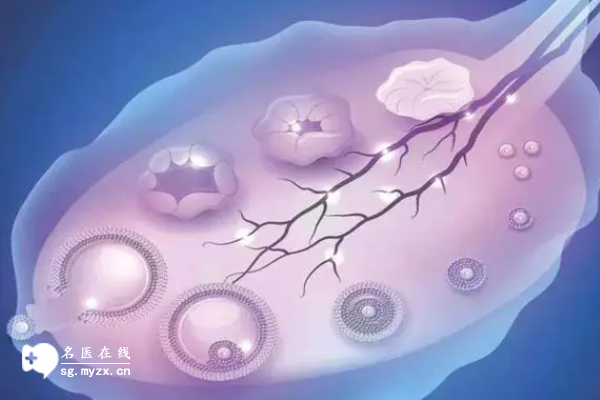 多囊做试管促排取卵，卵子质量不一定差，关键细节都在这