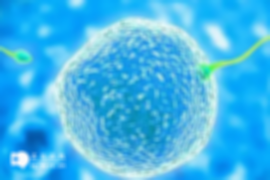 解讀!泰國試管助孕生子費用明細一覽,花多少錢心里有數