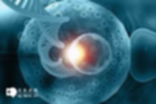 厦门三代试管费用和成功率详解，试管夫妇收藏必读！
