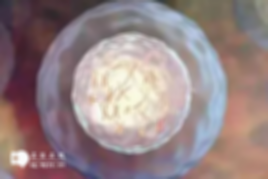 宫腔粘连做试管成功率揭秘，附关键因素全解，赶紧了解！