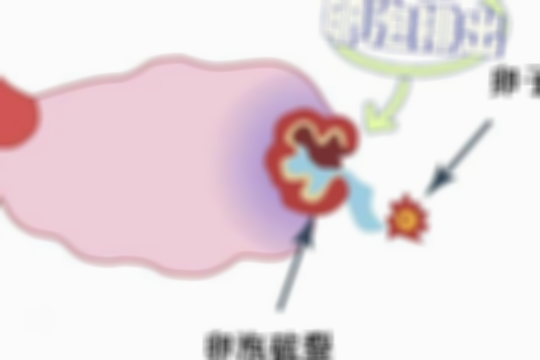 揭秘没有卵泡的真实原因，能否试管需看个体条件