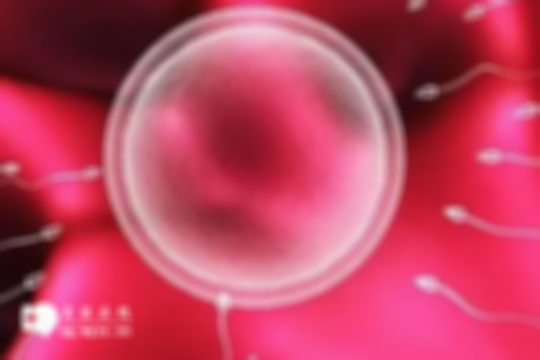 武汉做三代试管婴儿花费多少钱？全面解答，助力生育无忧