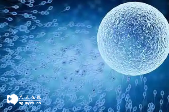 2024年做三代试管的成功率分享，3个影响因素望周知