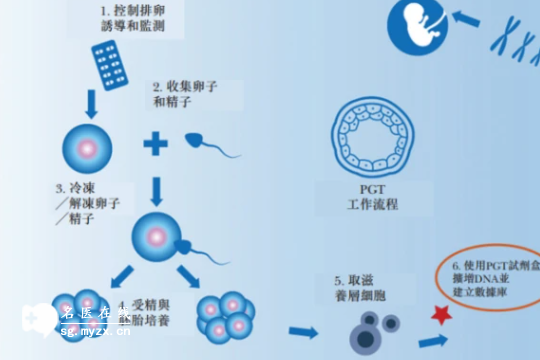 做三代试管助孕大概要花多少钱？全部流程包含费用明细一览