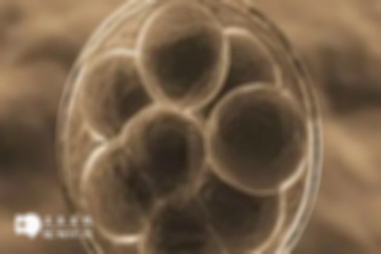 泰国试管婴儿成功率是怎么算的？计算方法来看一下