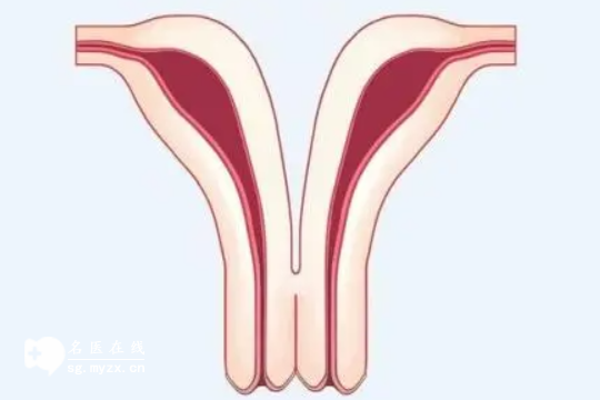 双角子宫做试管婴儿有风险吗？医生：选择正规医院很重要