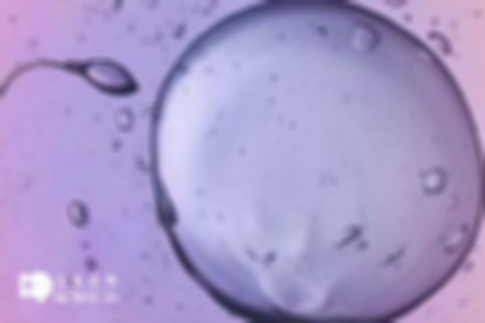 未婚做试管婴儿能办准生证吗？1分钟掌握关键细节