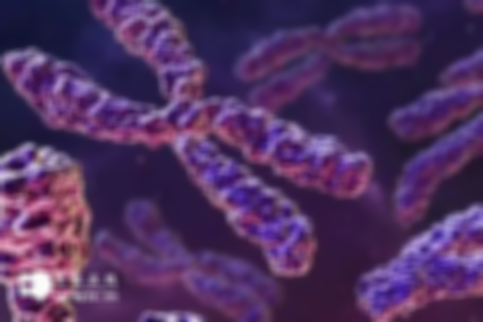 揭秘！染色体异常还能移植吗？多方检查后才能决定
