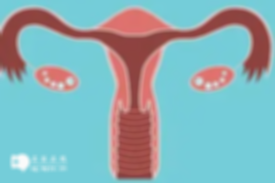 女性不排卵能否试管有待评估，搞懂原理可促进成功