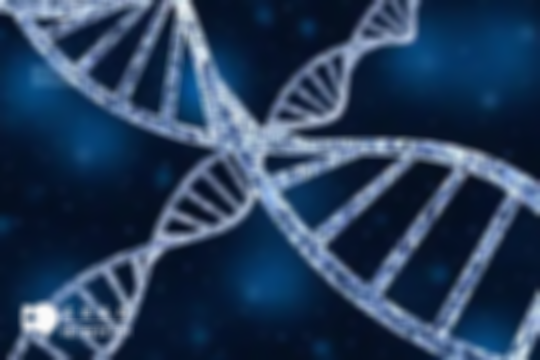 水蛭的功效與作用(水蛭對(duì)男性性功能有影響嗎)