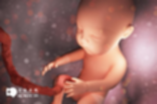 双子宫怀孕如何保胎？四大常见方法一览