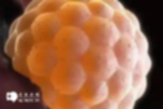 胚胎用生理盐水泡着还能用吗？答案可能出乎意料