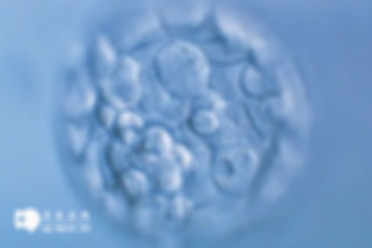 冻胚移植的最佳时间解读，月经周期第15-20天