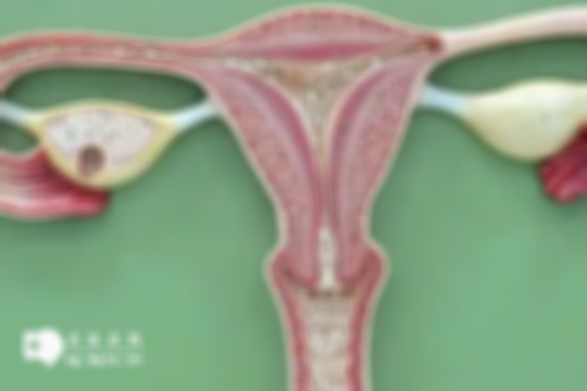 子宫内膜薄做试管要注意这3点，专业指导提高几率