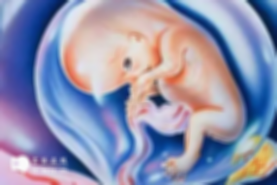 胎儿畸形与精子畸形有何不同？两者原因详细解读