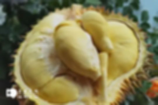 有哪些食物可以缓解痛经？可试一试菠萝和榴莲